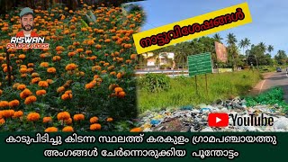 Karakulam GramaPanchayat  Thiruvananthapuram  Jamanthi Flower [upl. by Alemahs]