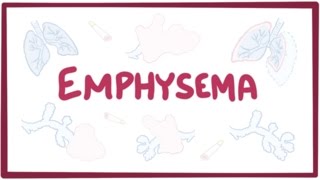 Emphysema chronic obstructive pulmonary disease  centriacinar panacinar paraseptal [upl. by Birkner224]