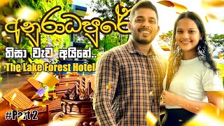 Best Hotel In Anuradhapura Sri Lanka Affordable amp Luxury Options  The Lake Forest Hotel Part 02 [upl. by Nosrak454]