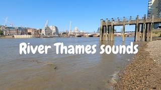 river thames sounds asmr  Public asmr  Lofi ASMR [upl. by Feodor]