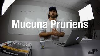 What Are The Benefits Of Mucuna Pruriens [upl. by Ennazor460]