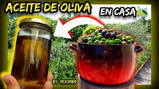 Como Elaborar ACEITE de OLIVA VIRGEN EXTRA ▶ En tu Casa Muy FÁCIL Paso a Paso by mixim89 [upl. by Irama]