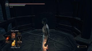 Lothric amp Lorian the Twin Princes  Ng4  No Hits Taken [upl. by Ylrad]