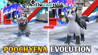 Poochyena Evolves Into Mightyena Animation In Pokemon Scarlet amp Violet DLC  The Teal Mask [upl. by Aihc103]