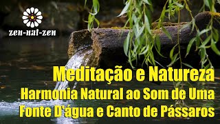 Meditação e Natureza Harmonia Natural ao Som de Uma Fonte D’água e Canto de Pássaros [upl. by Nyrol921]