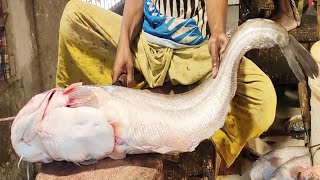 Giant Wallago Attu Catfish Cutting In Fish Market  Fish Cutting Skill Bangladesh [upl. by Atsahc444]