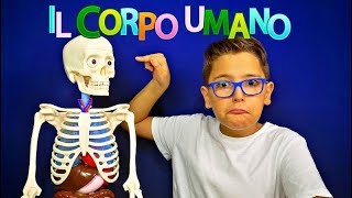 OCCHIO ALLO SCHELETRO  IL CORPO UMANO  Leo Toys [upl. by Barabbas]