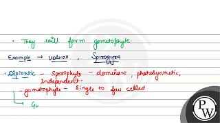 Which type of lifecycle is shown by Kelps Ectocarpus and Polysiphonia a Haplontic b Diplont [upl. by Iana605]