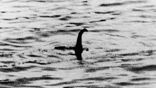 This Is the Biggest Loch Ness Monster Search in 50 Years [upl. by Yeldahc]