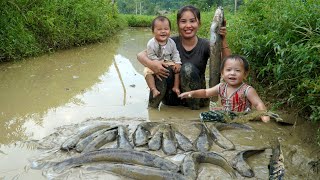 How to catch giant fish ponds after a rainy day and sell them at the market with your children [upl. by Yentterb767]