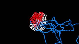 Expansion of a DNA domain formed by loop extrusion [upl. by Coral]