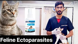 Pets Ectoparasites [upl. by Eibo]