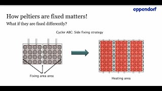 What prevents you from increasing your PCR productivity [upl. by Anemij]