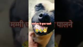 voltcomedyfunnycomedy मम्मी एक कुत्ता पाल्ले [upl. by Yeleen815]