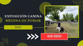 Exposición Canina Internacional de Medina de Pomar 2024 [upl. by Vernier814]