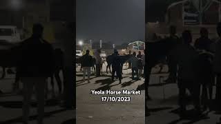 Yeola Horse Market 1710 horse trending viral 2023 [upl. by Ainessey]