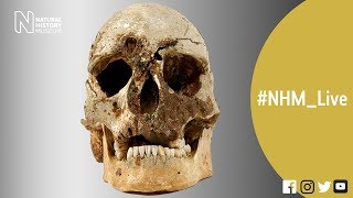 Who was Cheddar Man  NHMLive [upl. by Akapol]