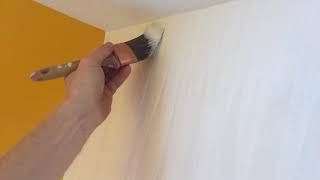 How To Paint Textured Vinyl Wallpaper  Spencer Colgan [upl. by Amitarp]