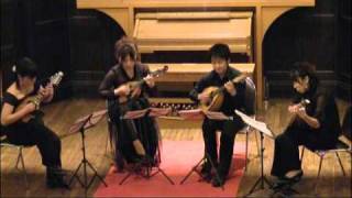 Salvatore Falbo Giangreco  Quartetto a plettro 14  Mandolin Quartet [upl. by Ave117]