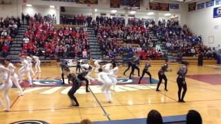 Faribault Dance Team High Kick 2016 [upl. by Rebekah296]