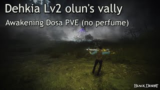 BDO Dehkia Lv2 oluns vally Awakening Dosa PVE no agrisno perfume각성도사 데키아 2 올룬떼올룬 노향수팟 무적컷 [upl. by Cobby]