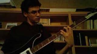 Portrait of Tracy  Jaco Pastorius  Bass Cover solo [upl. by Ahsatak88]