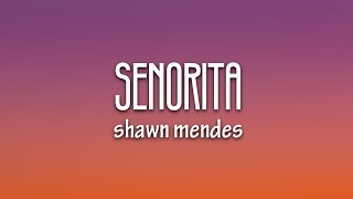 Shawn Mendes Camila Cabello – Señorita Lyrics [upl. by Luebke867]