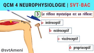 SVT Bac Neurophysiologie Réflexe myotatique  QCM 4 [upl. by Idolla220]