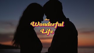 WONDERFUL LIFE  Ace  Barrell  Latest Punjabi Romantic Song 2024  Grand Club Productions [upl. by Nanine]