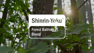 Immerse yourself with doTERRA ShinrinYoku [upl. by Arratoon726]