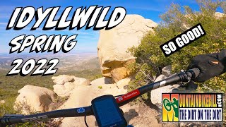 Idyllwild Hub Trails MTB Goodness Spring 2022 [upl. by Elam230]