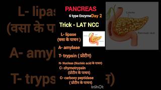 Pancreas enzyme pancreasdigestivesystem bpsctre4bpscscience [upl. by Stromberg]