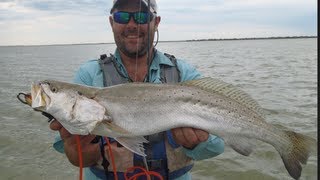 Speckled Trout fishing with Croaker Tips Tricks and Advice Trophy Trout Fishing [upl. by Etnuad867]