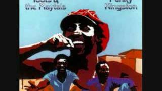 Toots amp The Maytals  Time Tough [upl. by Yleve]