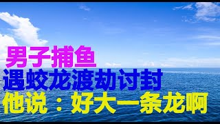 民间故事：男子捕鱼遇蛟龙渡劫讨封他赶紧对它说，好大一条龙啊 [upl. by Aihseuqram]