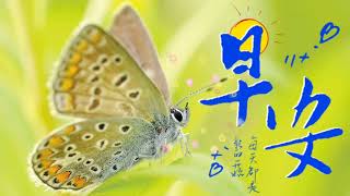 早安祝福 早安图片早安愉快轻松音乐 蝴蝶集 Good Morning Wishes relaxing music Greetings Butterflied [upl. by Machute]