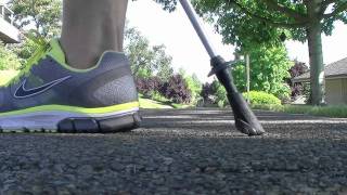 Modified Nordic Walking Technique for Older Adults [upl. by Junius]