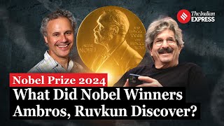 Nobel Prize 2024 What Did Gary Ambros Ruvkun Discover To Bag Nobel Prize in Physiology or Medicine [upl. by Aitnahs]