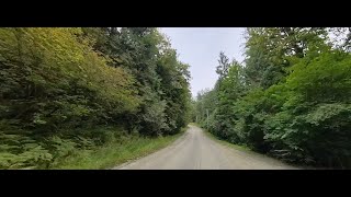 Forest drive wide BC Canada [upl. by Arabelle]