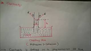 capillarity derivation capillary rise [upl. by Somerville957]