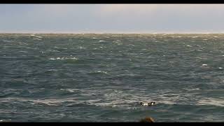 Stormy Waves on a Beach on Nantucket Sound at Cape Cod Massachusetts  Stock footage 151c [upl. by Volnay10]