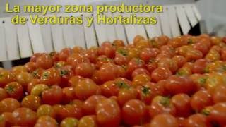 Don Simón  Gazpachos y Salmorejo  Planta de Almería [upl. by Colley]