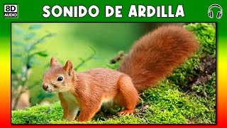 SONIDO DE ARDILLA 🐿 [upl. by Zumwalt]