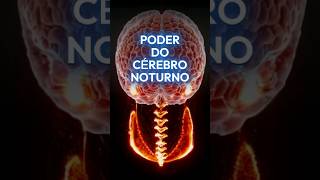 🧠✨ Cérebro Ativo Enquanto Dorme ✨🧠 curiosidades cérebro ciência sono memórias criatividade [upl. by Georgia]