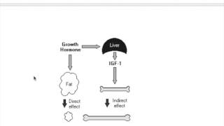 Somatomedin insulin like growth factorIGF [upl. by Enilrad]