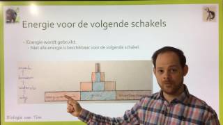 Biologie van Tim  Ecologie voedselrelaties en energiestromen [upl. by Bbor]