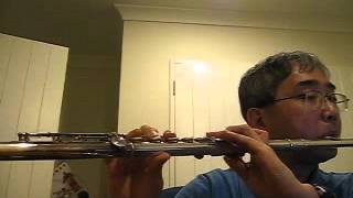 France National Anthem  La Marseillaise  Flute by Won Shik Paik [upl. by Rilda]