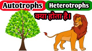 AUTOTROPHS HETEROTROPHS Autotrophs And Heterotrophs BIOBOX What Is Autotrophs [upl. by Enelear]