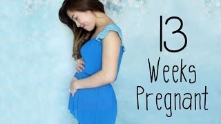 13 WEEK PREGNANCY VLOG  ULTRASOUND FOOTAGE [upl. by Gennaro]