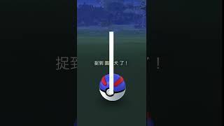 遇見色違圖圖犬 ドーブル Smeargle《Pokémon GO》 [upl. by Elva]